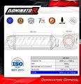 Auspuff Schalldämpfer DOMINATOR S6 passend für Kawasaki ZX10R 2006  2007 6