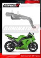 Auspuff Schalldämpfer DOMINATOR GPS passend für Kawasaki ZX10R 2006  2007 2
