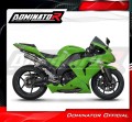 Auspuff Schalldämpfer DOMINATOR GPS passend für Kawasaki ZX10R 2006  2007 5