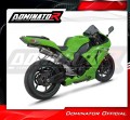 Auspuff Schalldämpfer DOMINATOR GPS passend für Kawasaki ZX10R 2006  2007 4