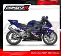 Auspuff Schalldämpfer DOMINATOR S6 passend für Honda CBR 954 2002  2003 5