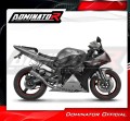Auspuff Schalldämpfer DOMINATOR GPS passend für Yamaha YZF R1 1000 RN09 2002  2003 5