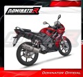 Auspuff Schalldämpfer DOMINATOR OV passend für Honda CBR 125 2004  2010 4