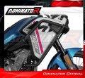 DOMINATOR Sturzbügel aus Edelstahl schwarz passend für CF MOTO 450 MT 2025  2026 5