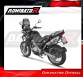 Auspuff Schalldämpfer DOMINATOR OVR passend für BMW F650GS 2004  2007 4