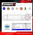 Triumph Trident 660 2021 2024 Full System Motorcycle Muffler Auspuff Sportauspuff Silencer Echappement Silencieux Scarico Scarichi Escape Wydech Tłumik GPF Black Dominator Exhaust System 4