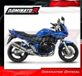 Auspuff Schalldämpfer DOMINATOR homologiert OVAL passend für GSF 650 S BANDIT 2005  2006 5