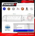 Auspuff Schalldämpfer DOMINATOR S6 schwarz passend für Triumph Daytona 660 2024  2026 7