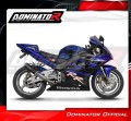 exhaust muffler DOMINATOR GP BLACK fits to Honda CBR 954 2002  2003 6
