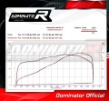 ZX6R ZX636 Exhaust Cat Eliminator Catalyst Catalytic Converter Linkpipe Decat Downpipe  2009 - 2016 DOMINATOR 2