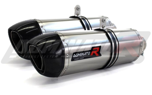 Triumph SPEED TRIPLE 1050 2005 - 2010 Schalldämpfer Auspuff HP1 + dB killer medium