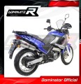 Pegaso 650 Exhaust Aprilia Muffler Auspuff Sportauspuff Silencer Echappement Silencieux Scarico Scarichi Escape Carbon Tip HP1 1997 - 2000 Dominator 2